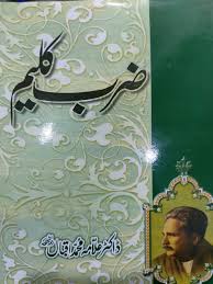 Allama Iqbal – Zarb-e-Kalim (Novel)
